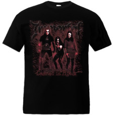 Футболка Immortal - Damned In Black (Gildan) чорна