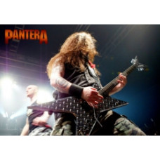 Постер на банерній основі Pantera 1