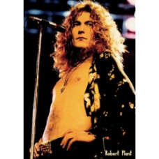 Постер на банерній основі Led Zeppelin - Robert Plant 1