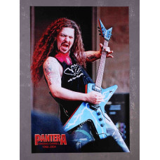 Постер на банерній основі Pantera - Dimebag Darrell 1
