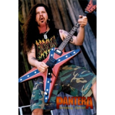 Постер на банерній основі Pantera - Dimebag Darrell 2