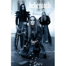 Постер на банерній основі Behemoth 1