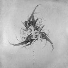 Ad Hominem - Theory 0 (White Vinyl) MLP
