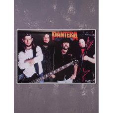 Постер на банерній основі Pantera 4