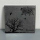 Kroda - Schwarzpfad CD Digi