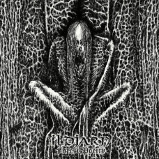 Ildjarn - Forest Poetry CD