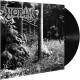 North - Thorns On The Black Rose LP (Gatefold Black Vinyl)