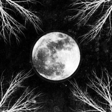 Corpus Christii - Palemoon CD