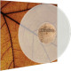 Drudkh / Paysage D'Hiver - Somewhere Sadness Wanders / Schnee (IV) LP (Gatefold Clear Vinyl)