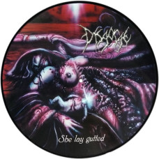 Disgorge - She Lay Gutted LP (Picture Vinyl)