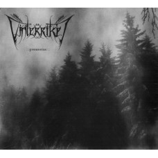 Vinterriket - Grauweiss DVD Digi