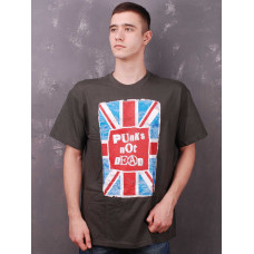 Футболка Punks Not Dead сіра