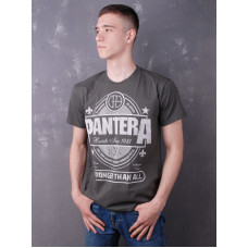 Футболка Pantera - Stronger Than All (FOTL) сіра
