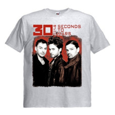 Футболка 30 Seconds To Mars Trio пепельная