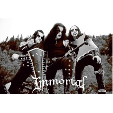 Постер на банерній основі Immortal