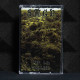 Sagn - Sur La Colline Tape