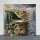 Ruadh - Eternal 2LP (Gatefold Moss Green Vinyl)