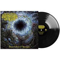Mistigo Varggoth Darkestra - Shattered Gates of Apocalypse LP (Black Vinyl)