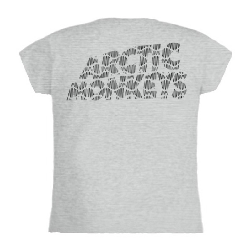 Футболка жіноча Arctic Monkeys світло-сіра меланжева