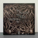 Burshtyn - Апокриф LP (Gatefold Gold With Black Marbled Vinyl)