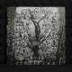 Clandestine Blaze - Secrets Of Laceration LP (Black Vinyl)