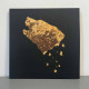Crippled Black Phoenix - Bronze 2LP (Gatefold Gold/Red Mixed Vinyl)