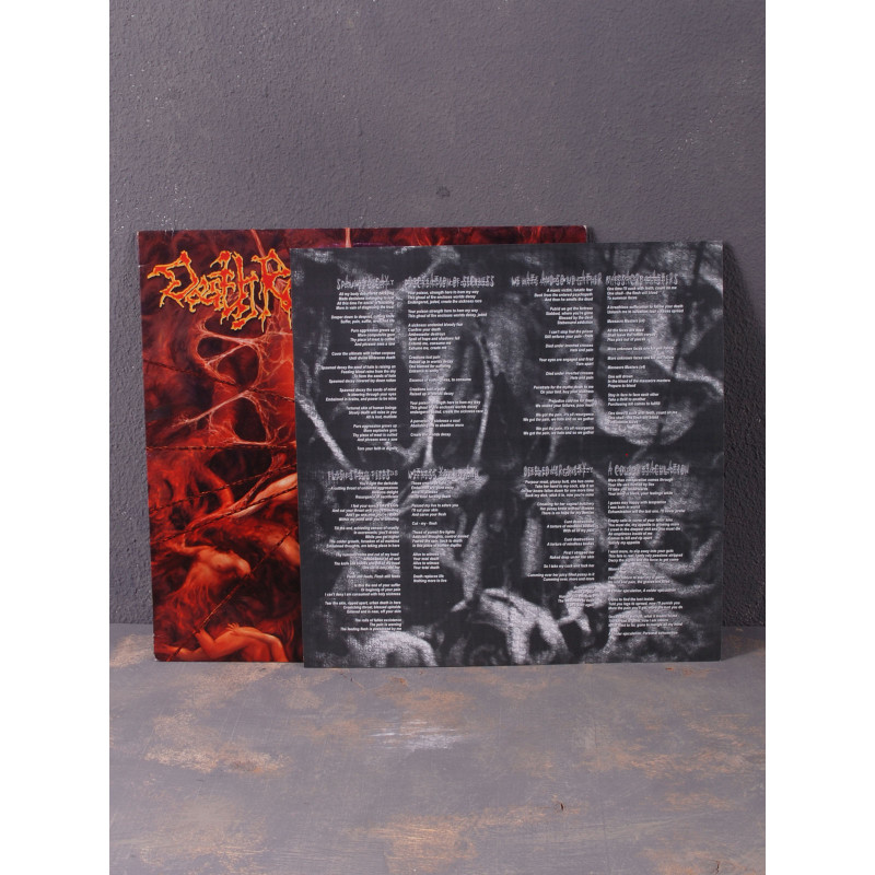 Death Reality - Flesh Still Feeds LP (Black Vinyl) (Не новий)