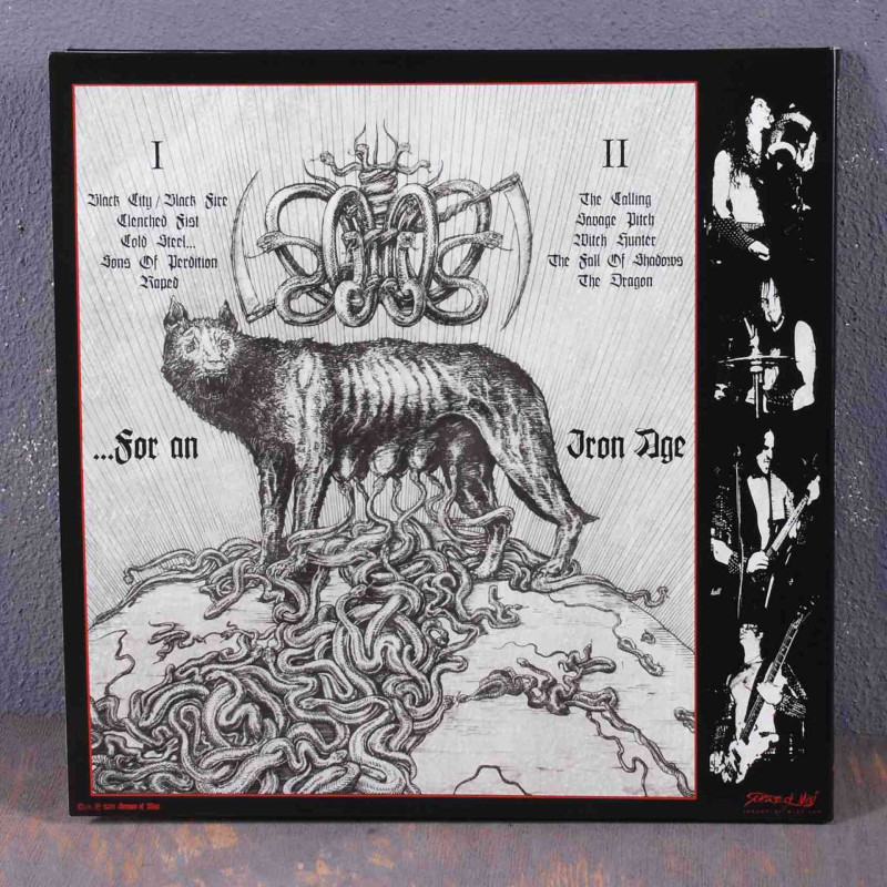 Destroyer 666 - Cold Steel... For An Iron Age LP (Gatefold Black Vinyl)