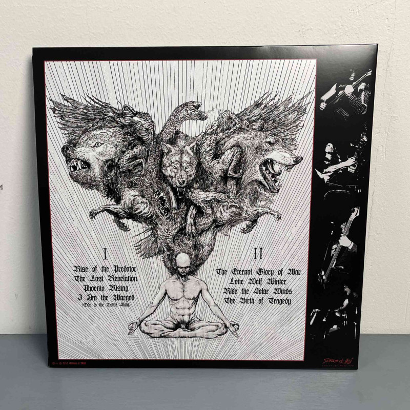 Destroyer 666 - Phoenix Rising LP (Gatefold Black Vinyl)