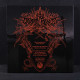 Druadan Forest - Dismal Spells From The Dragonrealm 2LP (Gatefold Black Vinyl)