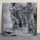 Hate Forest - Purity LP (Yellow / Blue Vinyl) (Donation Edition)