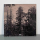 Hate Forest - Sorrow LP (Mustard/Black Marble Vinyl)