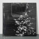 Hypothermia - Svarta Nyanser Av Ljus LP (Picture Vinyl)