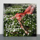 Lifelover - Pulver LP (Green/Yellow Swirl Vinyl)