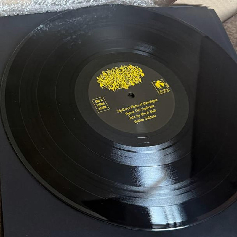 Mistigo Varggoth Darkestra - Shattered Gates of Apocalypse LP (Black Vinyl)