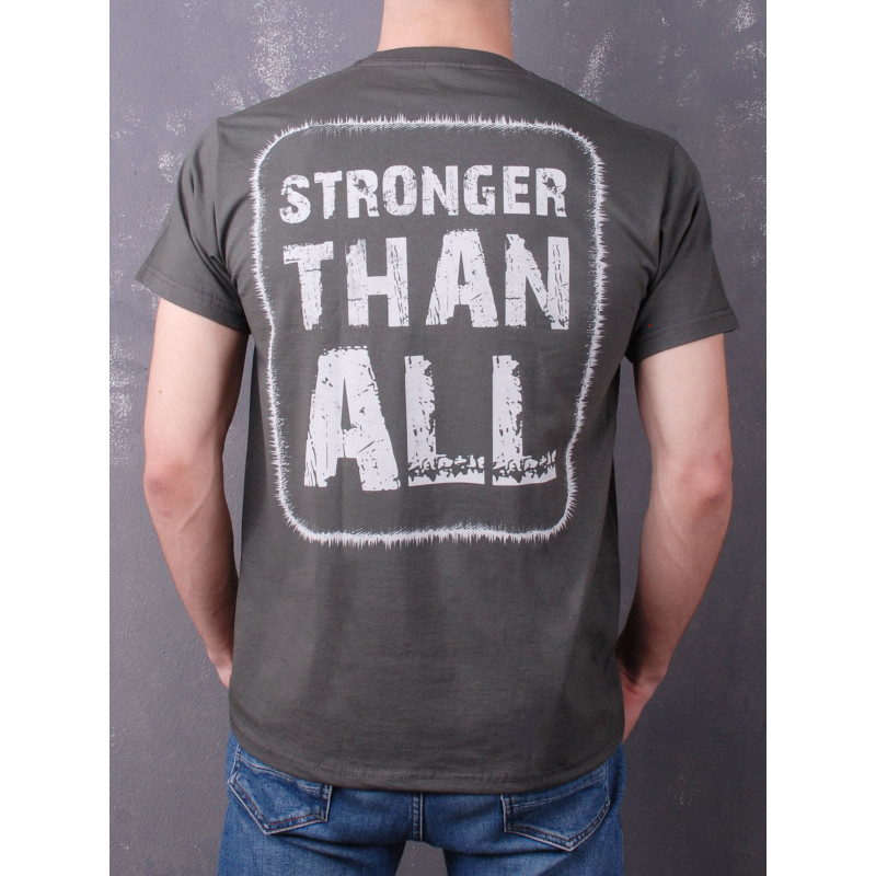 Футболка Pantera - Stronger Than All (FOTL) сіра