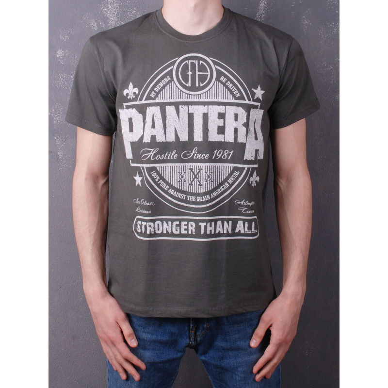 Футболка Pantera - Stronger Than All (FOTL) сіра