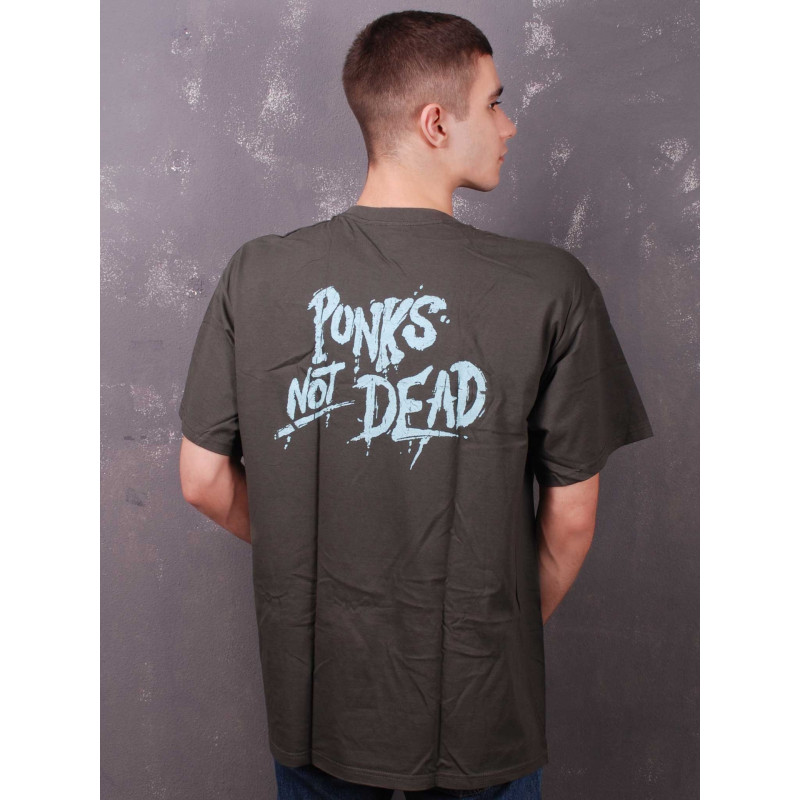 Футболка Punks Not Dead сіра