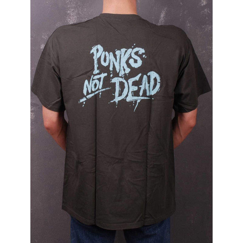 Футболка Punks Not Dead сіра