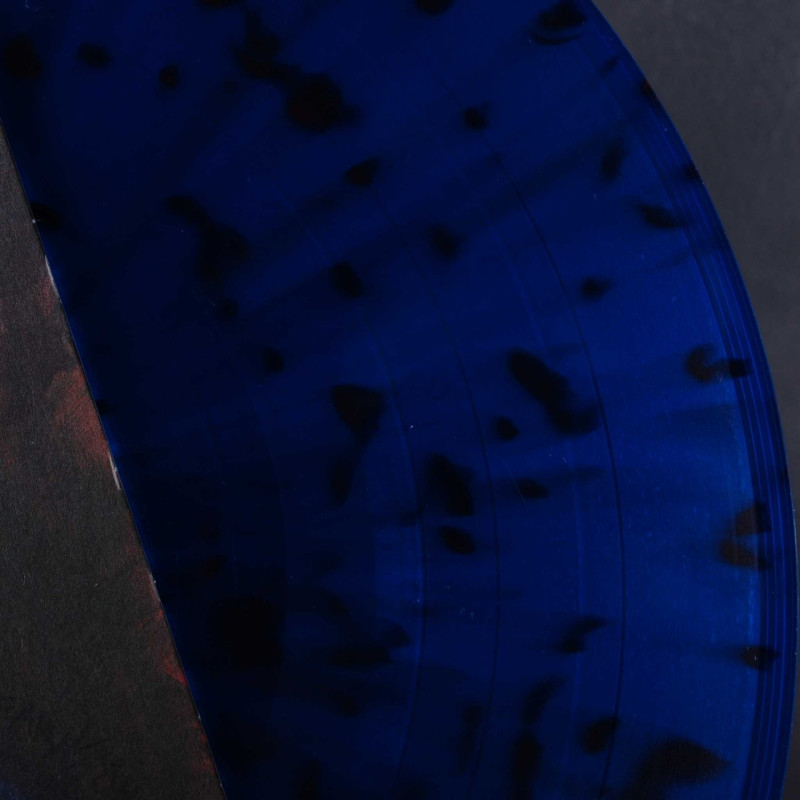 The Disease Concept - Your Destroyer LP (Blue / Red Splatter Vinyl)