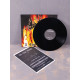 The True Endless - A Climb To Eternity LP (Black Vinyl)