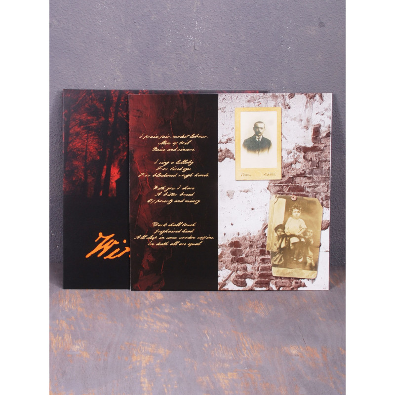 Windswept - Visionaire 12