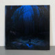 Woods Of Desolation - Torn Beyond Reason LP (Gatefold Black Vinyl)