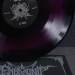 Embryonic Slumber - In Worship Our Blood Is Buried LP (Purple / Black Swirl Vinyl)