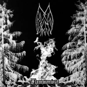 Ensom Skogen / Forgotten Spell / Moonblood ‎- Flammenwut / Aesthetics Of The Necromantic Manifestation / The Unholy CD