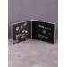Holy Death - Triumph Of Evil CD (Head Not Found) (Б/У)