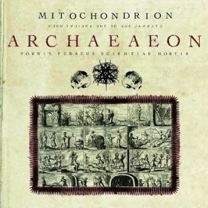 Mitochondrion - Archaeaeon CD