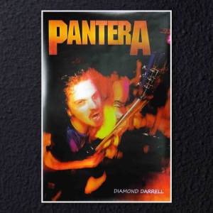 Плакат на баннерной основе Pantera - Diamond Darrell