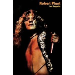 Плакат на баннерной основе Led Zeppelin - Robert Plant 2