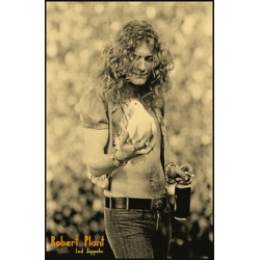Плакат на баннерной основе Led Zeppelin - Robert Plant 3